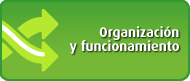Organización y Funcionamiento